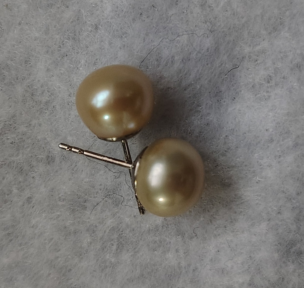 Pearl Earring Studs